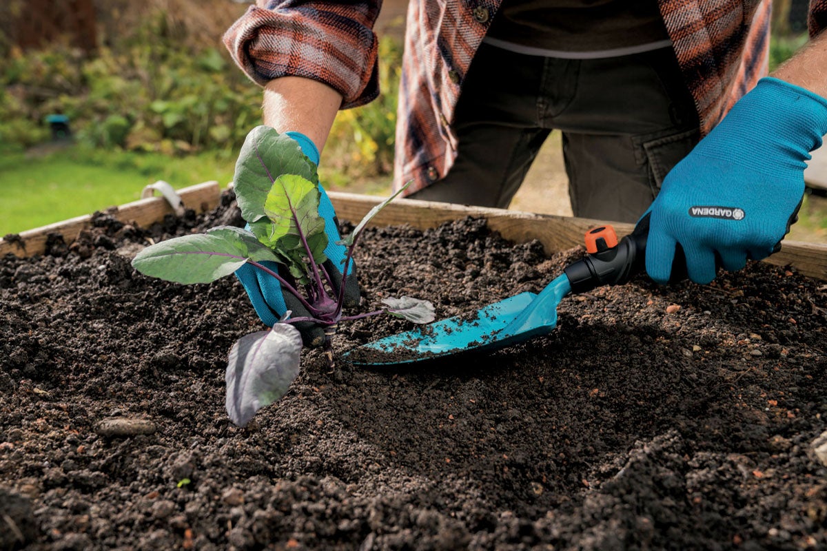O persoană plantează un răsad de legume într-o jardinieră înălțată din lemn, folosind o lopățică de mână și mănuși de grădină Gardena.