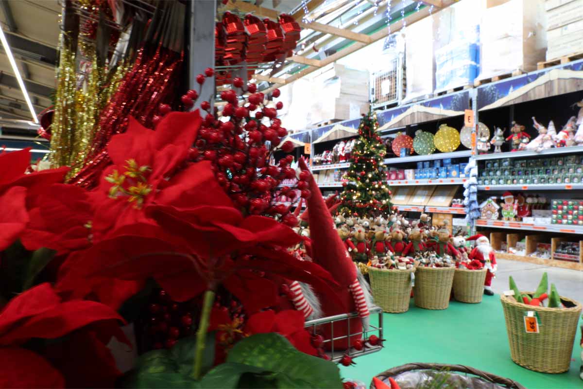 Decorațiuni de Crăciun într-un magazin Hornbach cu stea de Crăciun și brad de Crăciun împodobit