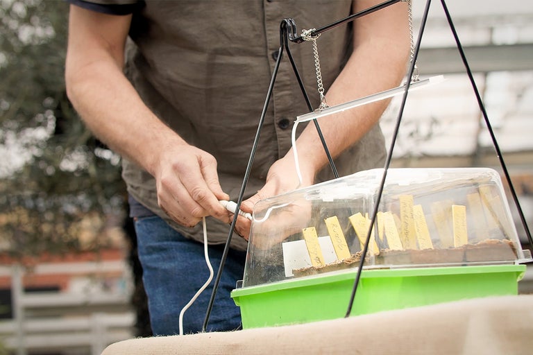 O persoană conectează o lampă de plantă deasupra unei sere interioare.