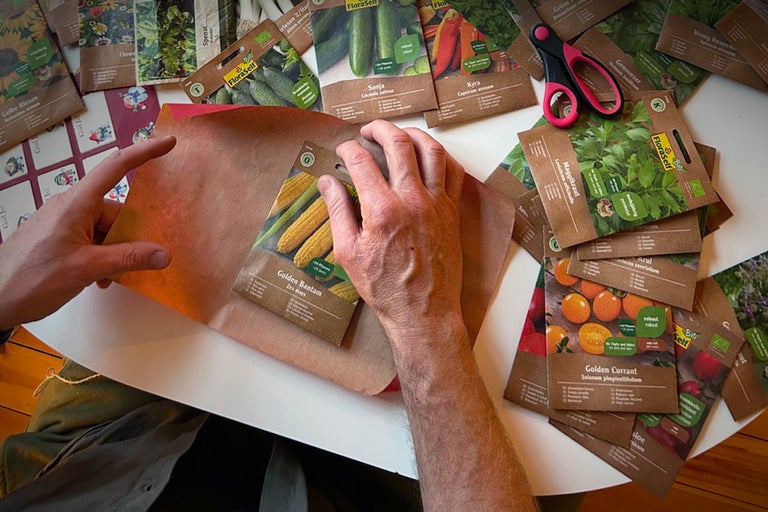 O persoană manevrează diverse plicuri de semințe pe o masă, printre care floarea-soarelui, castraveți, porumb și roșii.