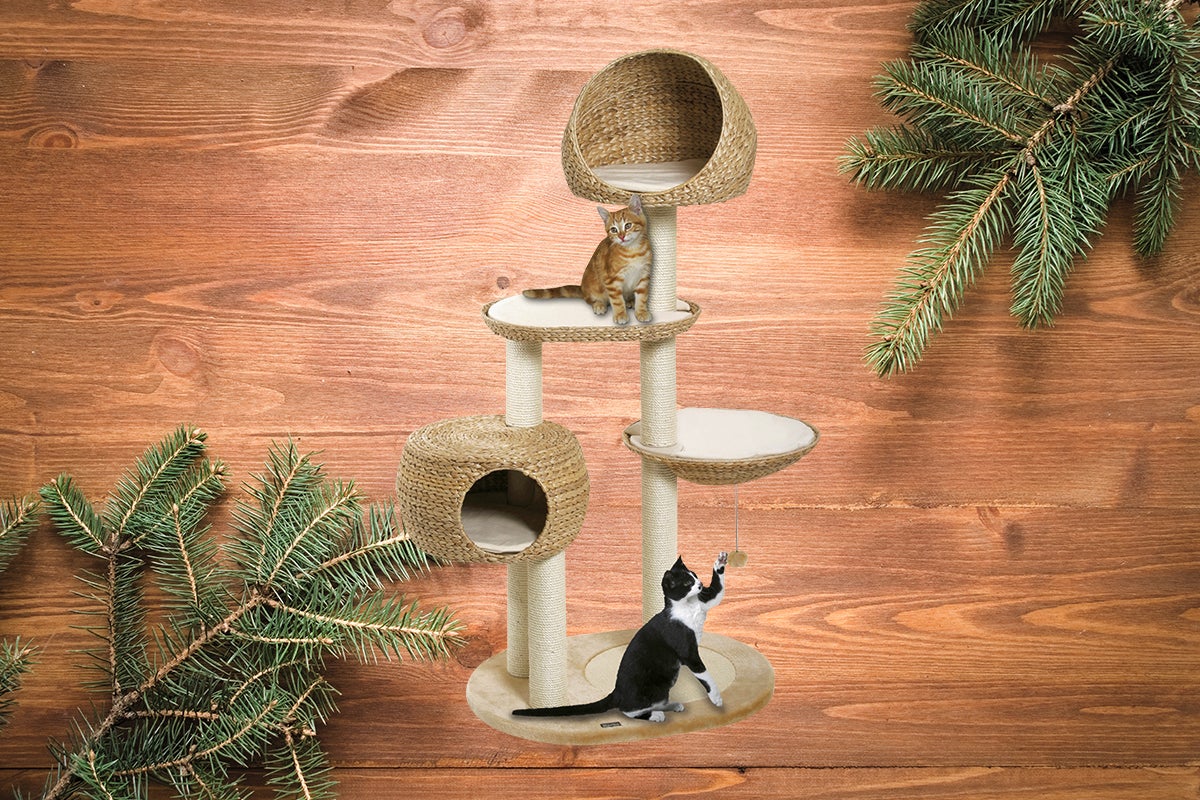 Turn de joacă pentru pisici cu două pisici