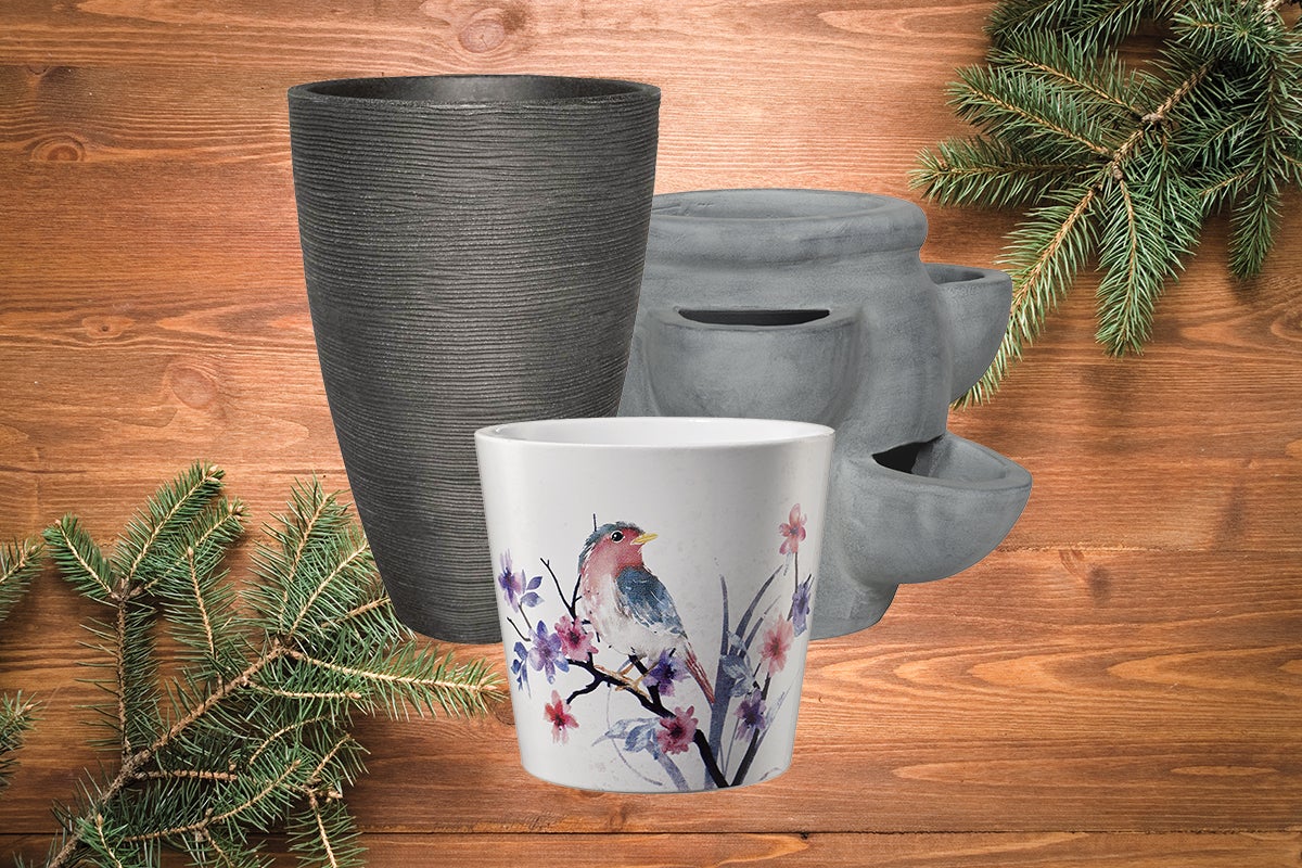 Diverse ghivece de flori în fața unui perete de lemn