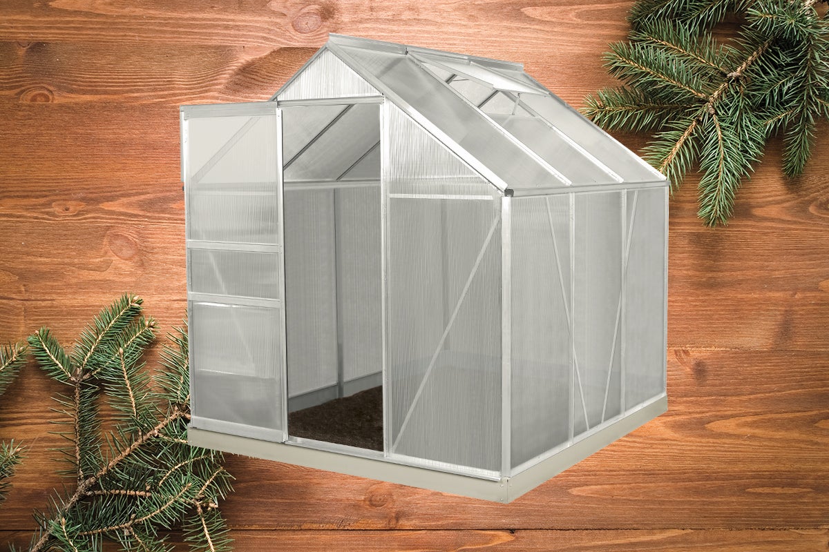 Seră de grădină cu ușa deschisă