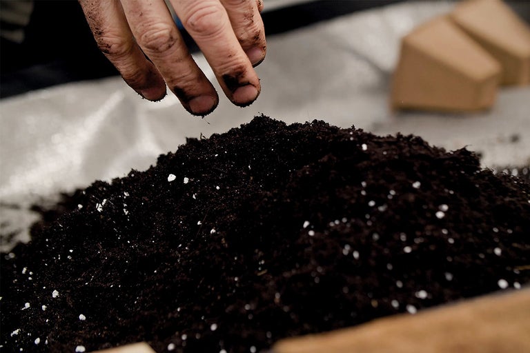 O mână seamănă pământ de flori.