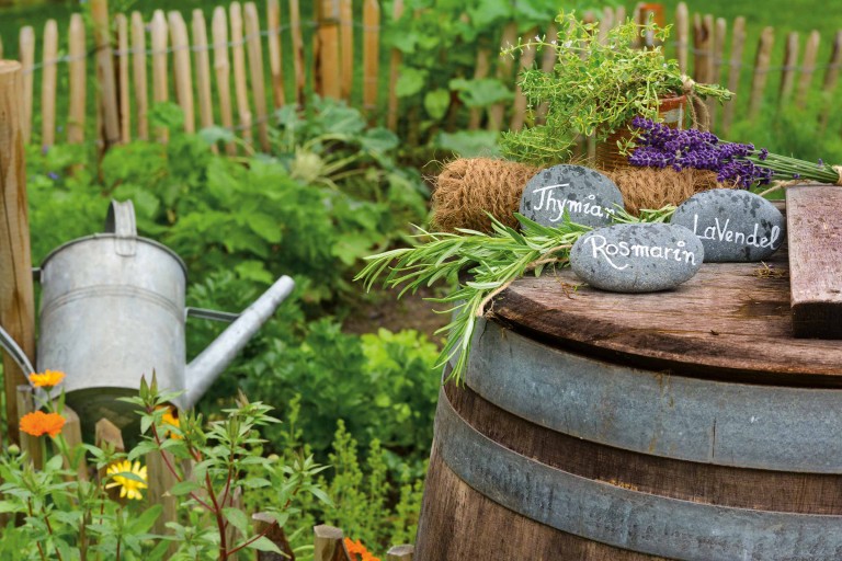 Ierburi aromatice și legume proaspete: ghid complet pentru grădină și bucătărie Ierburi aromatice și legume proaspete: ghid complet pentru grădină și bucătărie