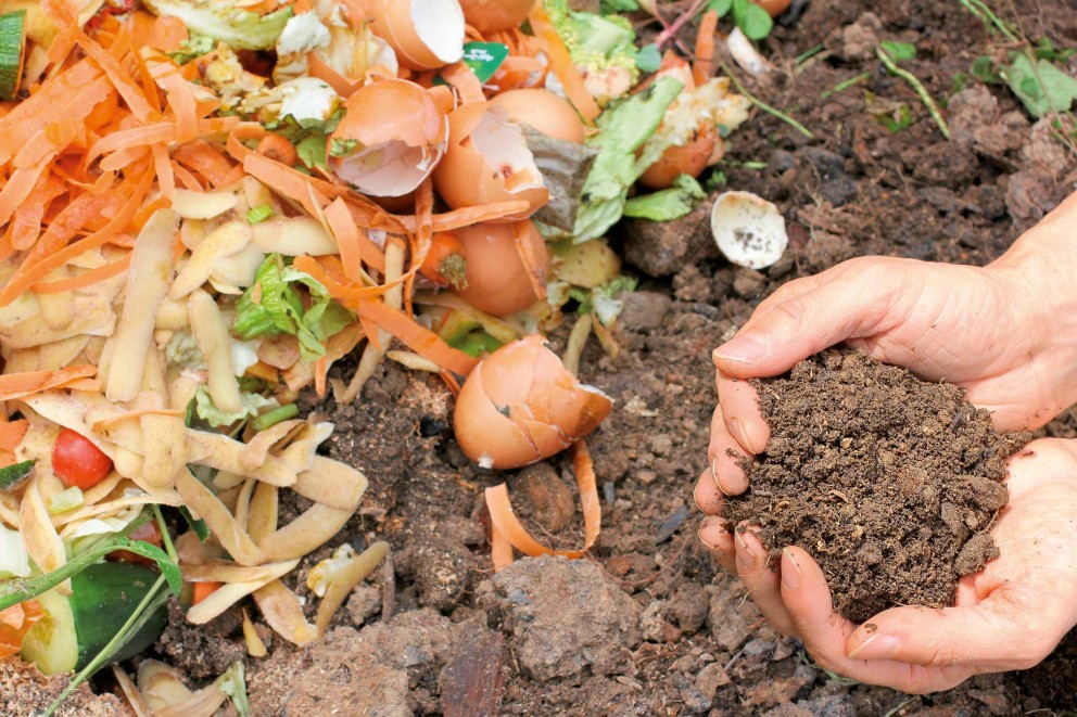 compost compost