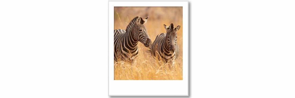 SELECTION vopsea lavabila Fascination Serengeti SELECTION vopsea lavabila Fascination Serengeti