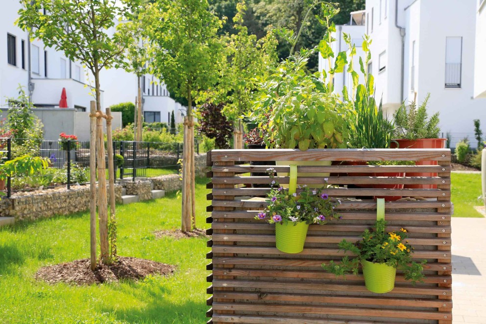 Vedere grădină cu ecran de protecție din lemn și ghivece de flori plantate