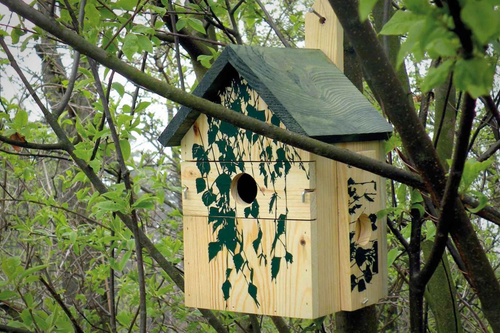 vogelhaus aufstellen vogelhaus aufstellen