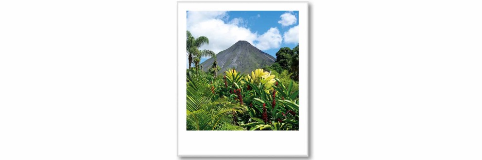 SELECTION vopsea lavabila Tropical Feeling SELECTION vopsea lavabila Tropical Feeling
