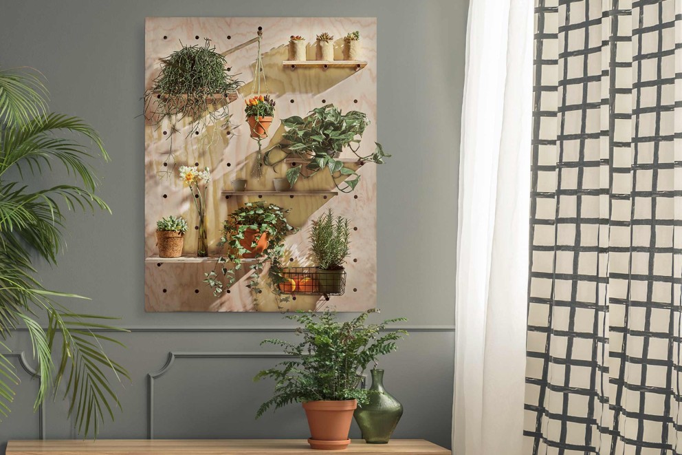 Construirea unui perete cu plante cu rafturi flexibile Construirea unui perete cu plante cu rafturi flexibile