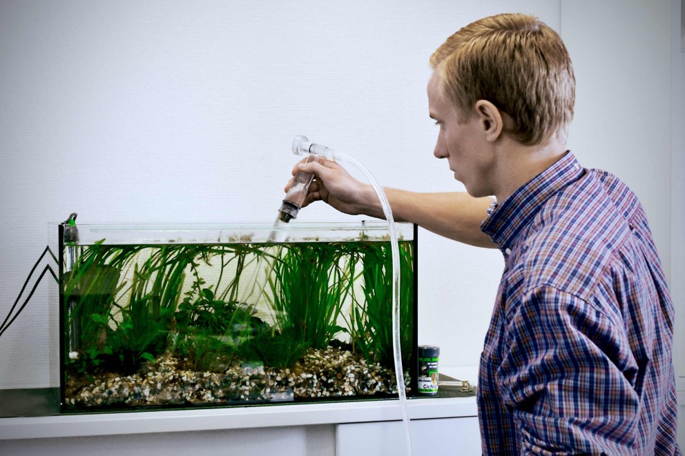 Aquarium pflegen Aquarium pflegen