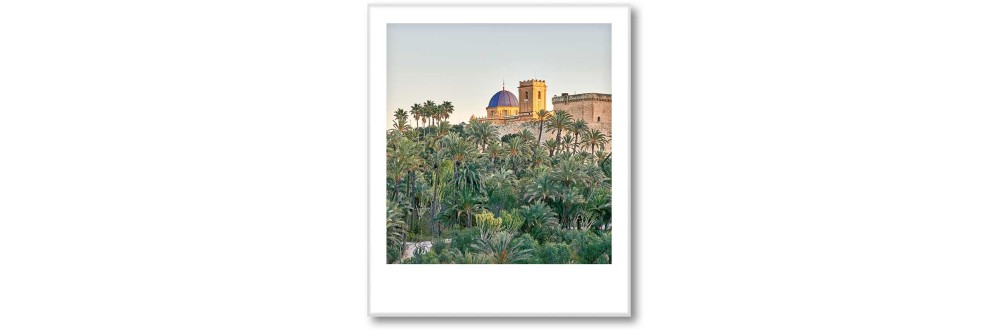 SELECTION vopsea lavabila Palms of Valencia SELECTION vopsea lavabila Palms of Valencia
