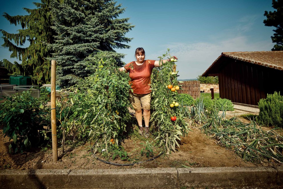 Femeie stând într-o grădină de legume printre plante de roșii