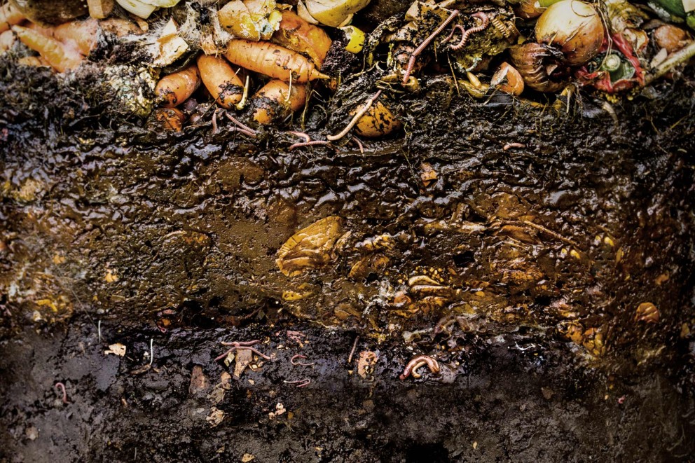Compostare: avantaje Compostare: avantaje