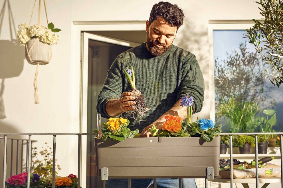 Flori pentru balcon 2