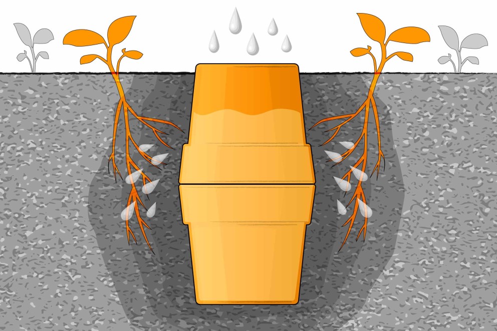 gartenbewaesserung olla gartenbewaesserung olla