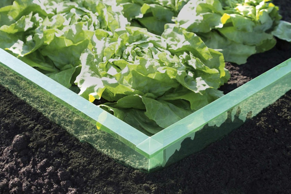 Jardinieră înălțată cu salată în grădină