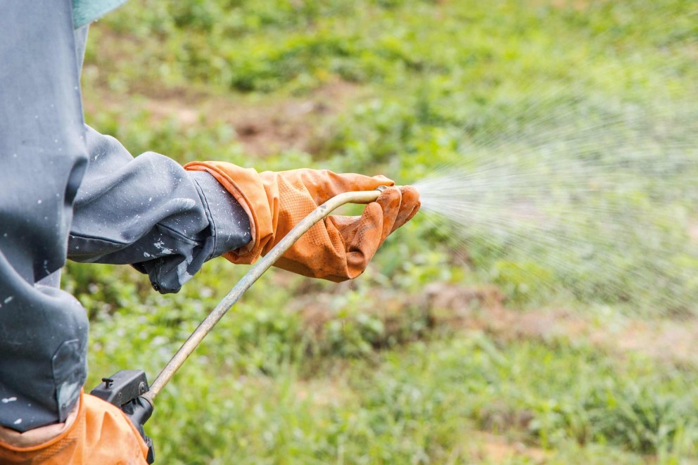 utilizarea produselor pentru protectia plantelor utilizarea produselor pentru protectia plantelor