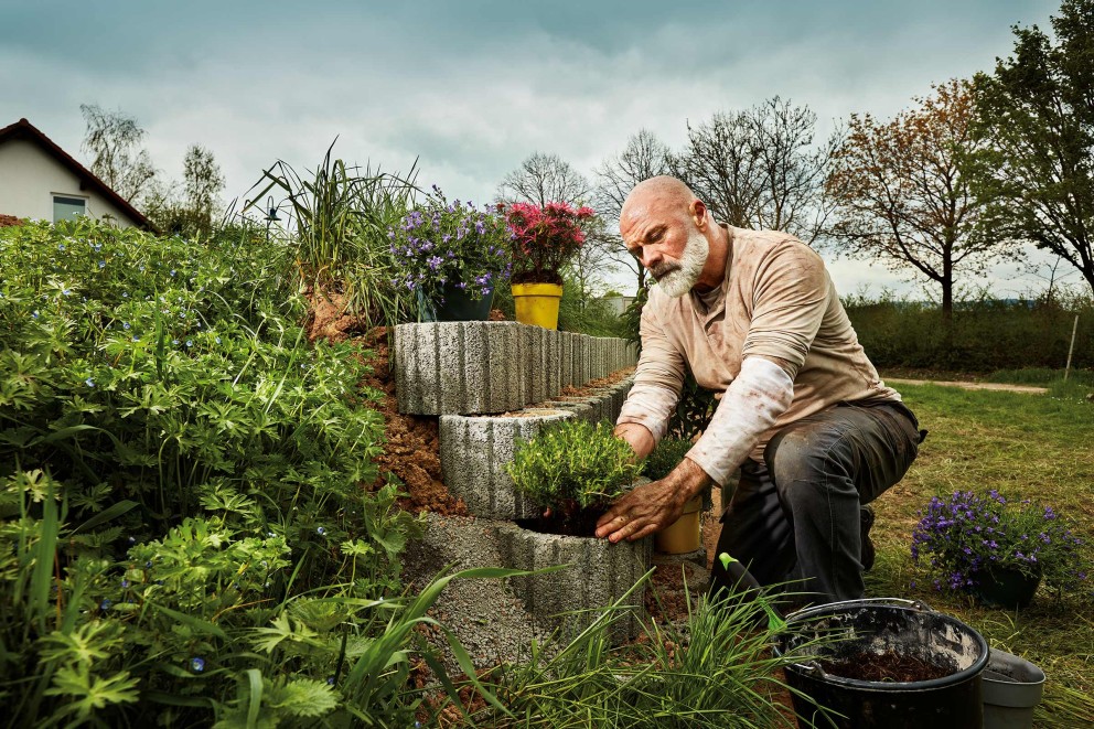 Plantarea jardinierelor din beton: plante potrivite