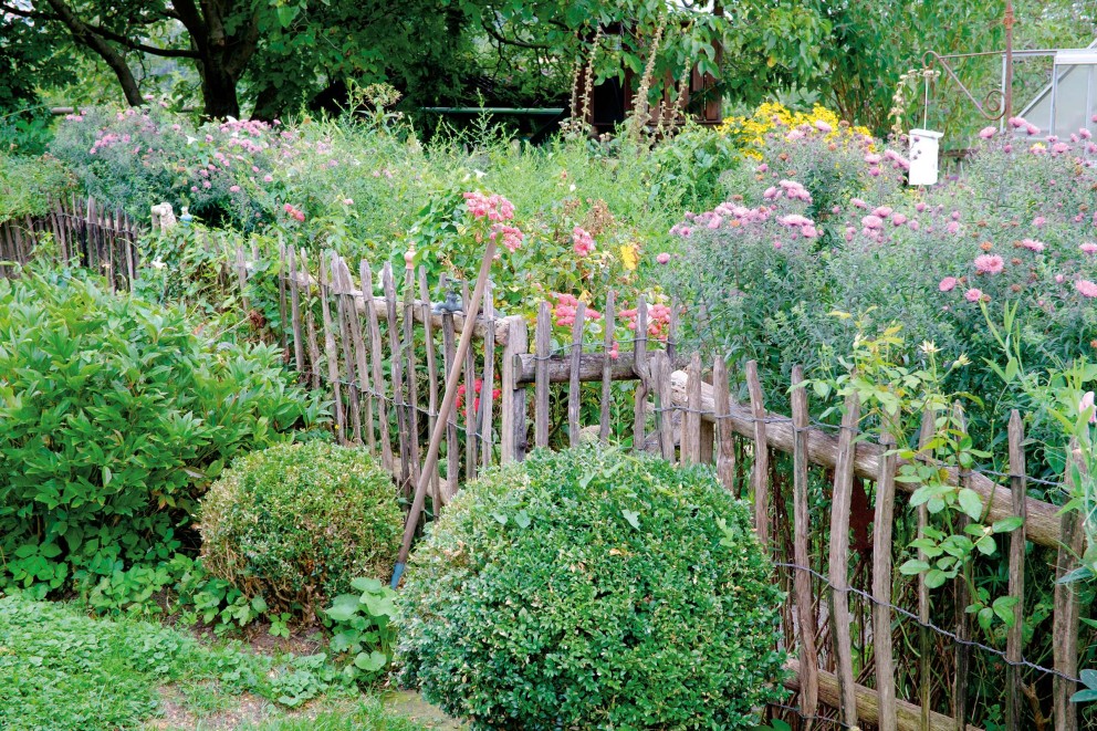
				Idei garduri gradina 4

			