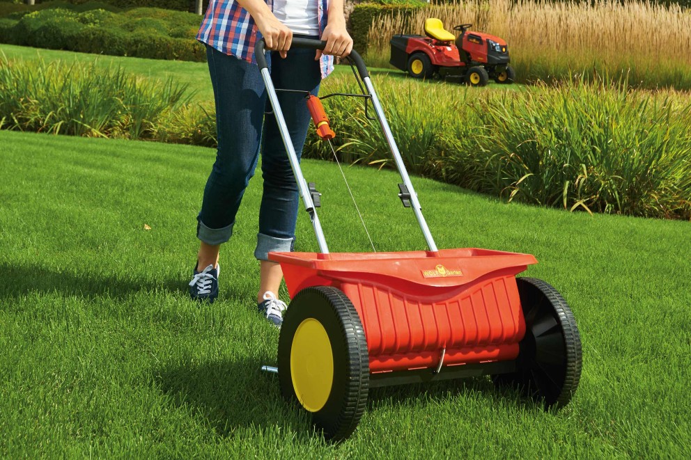 fertilizare gazon 1 fertilizare gazon 1