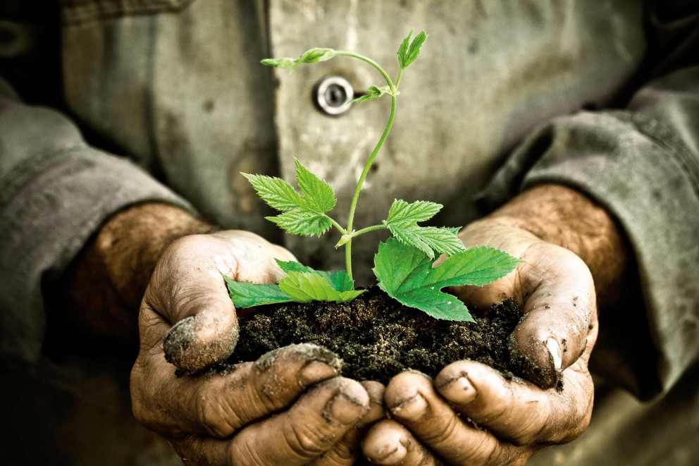 Construirea ecologică a clădirilor noi