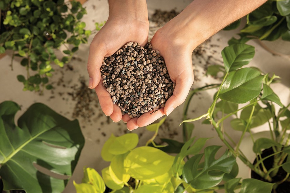 Mâini ținând argilă expandată pentru plante, înconjurate de plante verzi