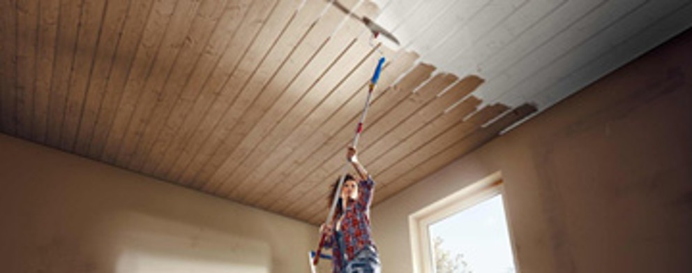 12 cuie pasiune HORNBACH 06 12 cuie pasiune HORNBACH 06