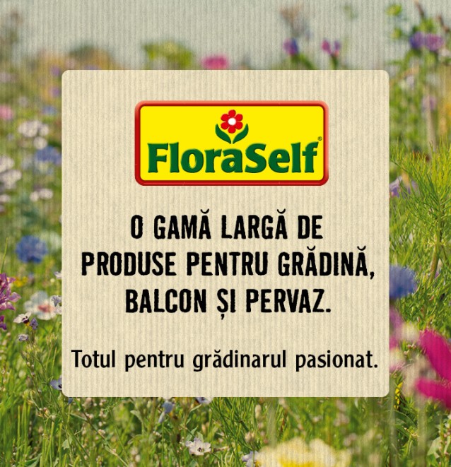 
				FloraSelf gradinar pasionat

			