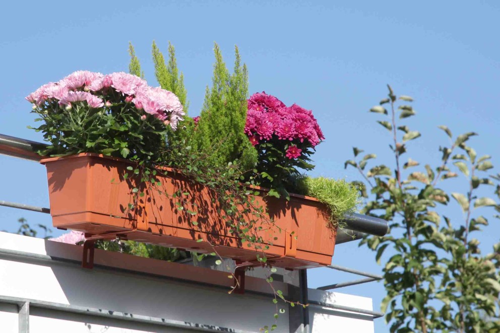 Jardiniere la Hornbach Jardiniere la Hornbach