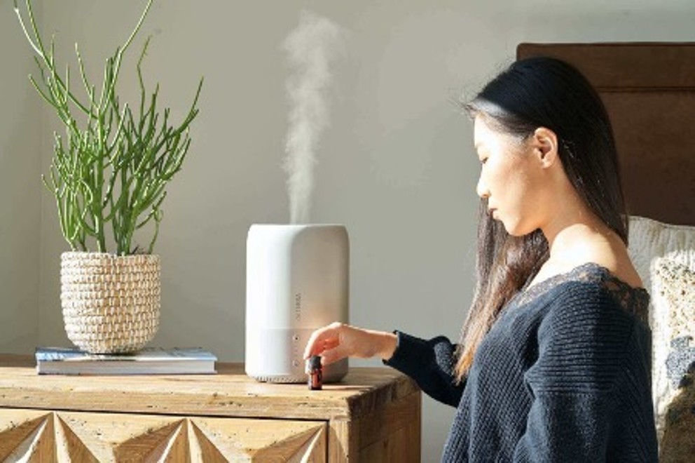 Cel mai bun umidificator Cel mai bun umidificator