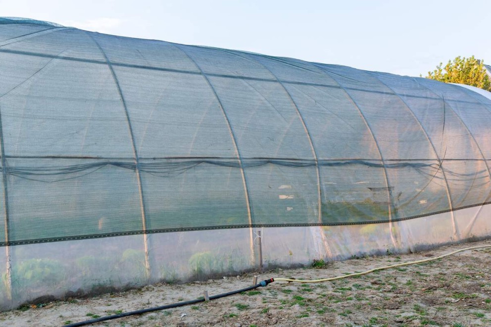 montare plasa umbrire gard solar de cultura pentru leguma cu plasa de umbrire montata peste acoperis montare plasa umbrire gard solar de cultura pentru leguma cu plasa de umbrire montata peste acoperis