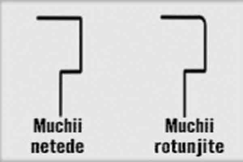 Pertura muchii Pertura muchii