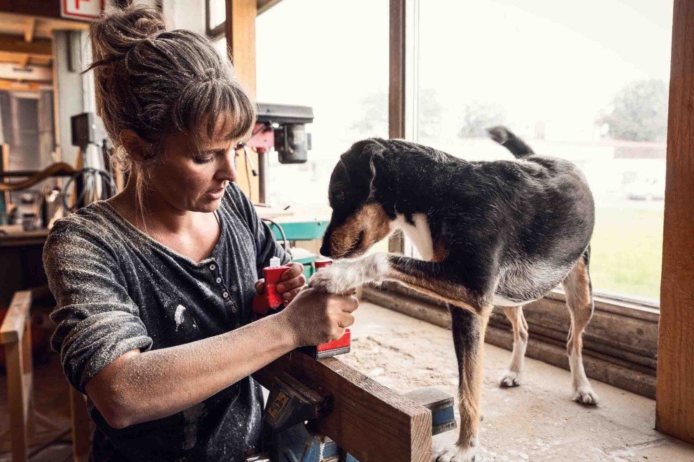 Hrana si produse pentru caini la Hornbach Hrana si produse pentru caini la Hornbach