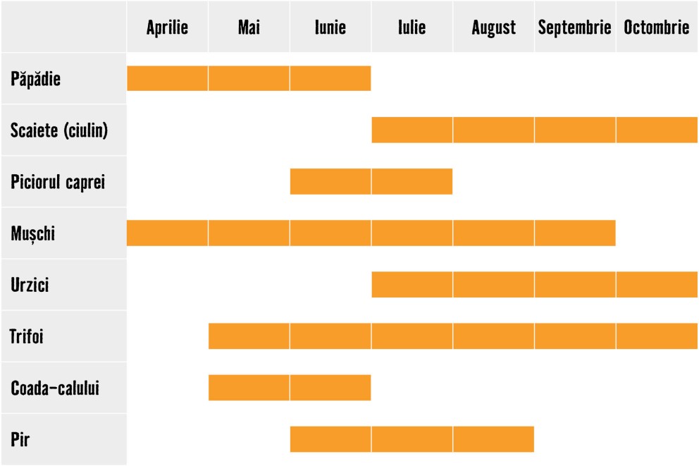 Calendarul infloririi buruienilor Calendarul infloririi buruienilor
