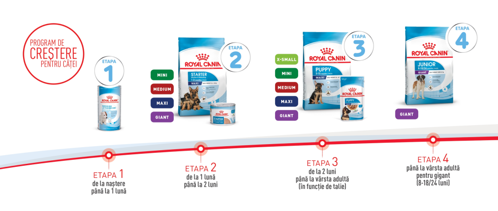 grafic caini Royal Canin grafic caini Royal Canin