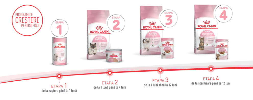 grafic pisici Royal Canin grafic pisici Royal Canin