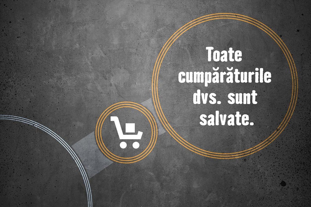 Cumparaturi salvate in Contul de client HORNBACH 2024 Cumparaturi salvate in Contul de client HORNBACH 2024