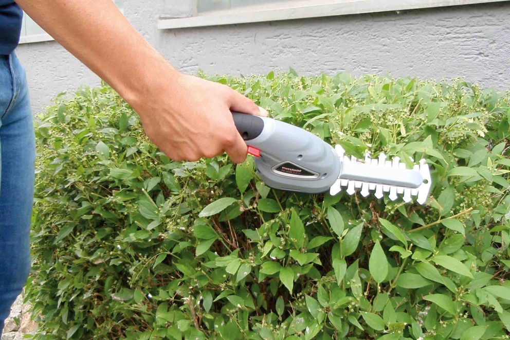 Creați-vă propria oază verde: ghid personalizat pentru tufe și ierburi decorative