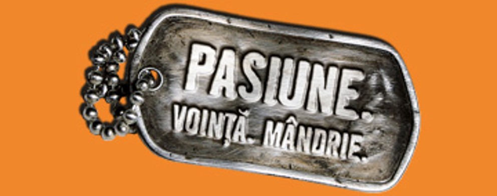 12 cuie pasiune HORNBACH 12 12 cuie pasiune HORNBACH 12