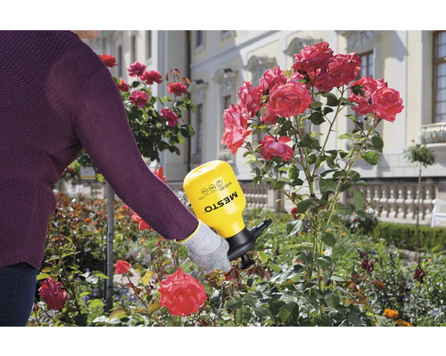Utilizarea unui pulverizator sub presiune MESTO în grădină pentru îngrijirea trandafirilor