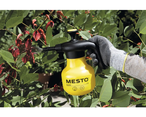 Scenă de grădină cu o persoană care pulverizează plante cu un pulverizator cu presiune Mesto.