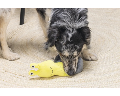 Un câine se joacă cu o jucărie galbenă pentru câini în formă de melc pe un covor.