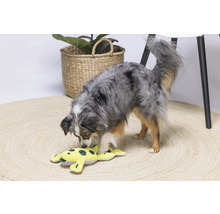 Un câine se joacă cu o broască galbenă de pluș pe un covor rotund.