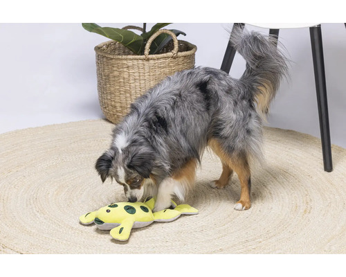 Un câine se joacă cu o broască galbenă de pluș pe un covor rotund.