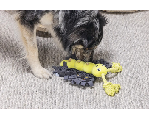 Câine explorând jucăria interactivă pentru hrană cu design de omidă pe o covorașă de detectare a mirosului