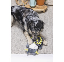 Un câine se joacă cu o jucărie de pluș pe un covor.