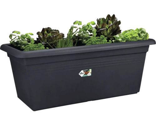 Jardinière dreptunghiulară cu salată și ierburi aromatice