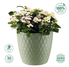 Hortensie în ghiveci cu model în romburi și materiale reciclate. Interval de temperatură de la -30 la +60 de grade. Compania are 30 de ani de experiență și urmărește o strategie de zero emisii.